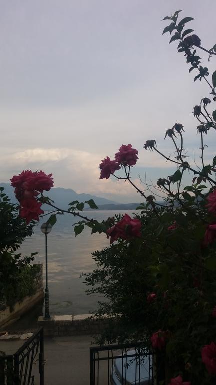 Appartamento Apatments Stanojlovic Djenovic Herceg Novi Esterno foto