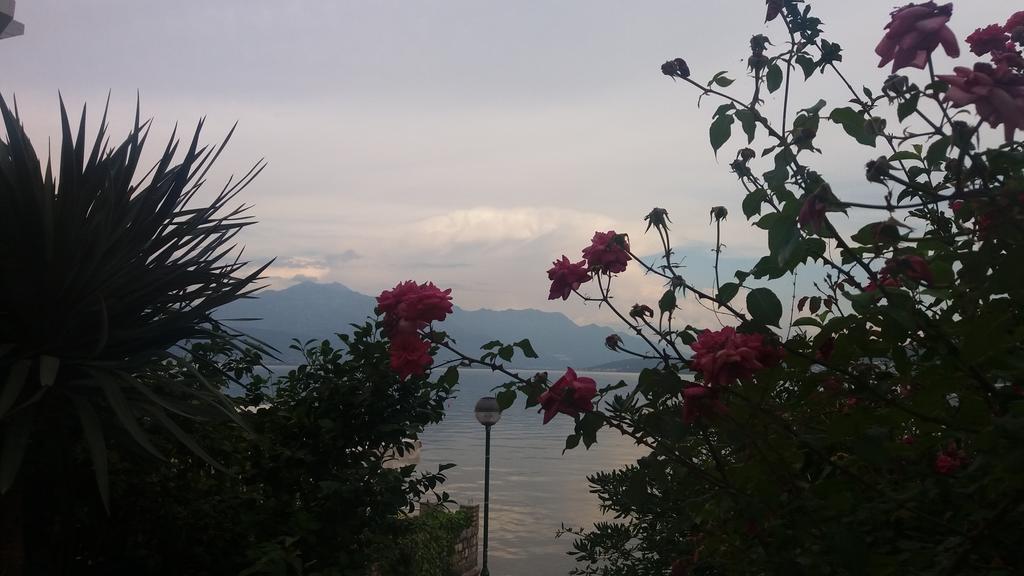 Appartamento Apatments Stanojlovic Djenovic Herceg Novi Esterno foto